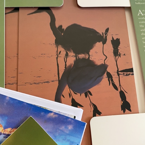 Greeting cards!!! Nature and sarcastic - Picture 8 of 14